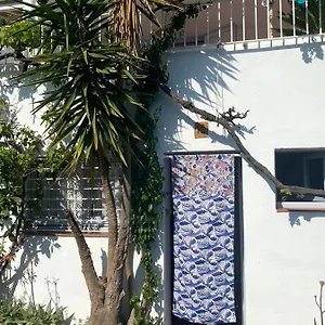 Apartamento Estudio Boho-chic Nuevo Bien Ubicado